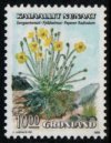 (image for) 10 Kr Arctic Poppy