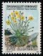 (image for) 10 Kr Arctic Poppy