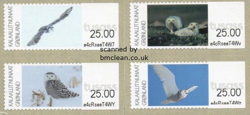 (image for) 2025 Franking Labels - Snowy Owls