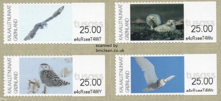 (image for) 2025 Franking Labels - Snowy Owls