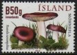 (image for) 2012 Fungi VI