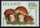 (image for) 2012 Wild Mushrooms VII