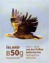 (image for) 2013 White-Tailed Eagle