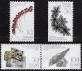 (image for) 2015 Icelandic Design - Jewellery