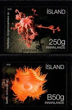 (image for) 2016 Seabed Ecosystem I