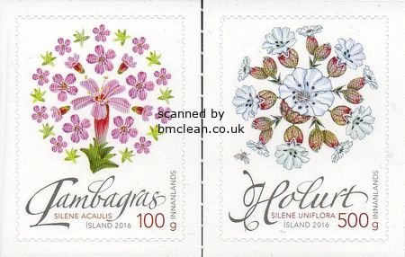 (image for) 2016 Wild Vegetation I