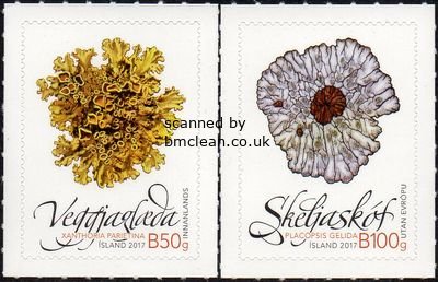 (image for) 2017 Wild Vegetation II