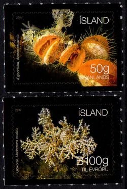 (image for) 2017 Seabed Ecosystem II