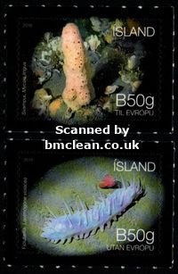 (image for) 2018 Seabed Ecosystem III