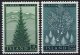 (image for) 1957 Reafforestation