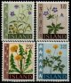 (image for) 1960-62 Wild Flowers