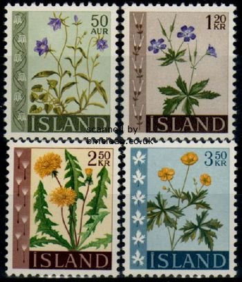 (image for) 1960-62 Wild Flowers