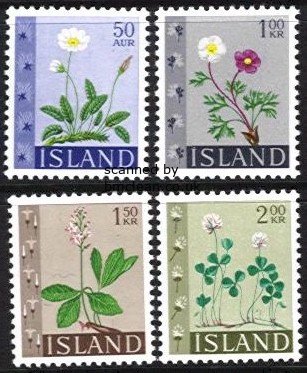 (image for) 1964 Wild Flowers