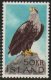 (image for) 1966 White-Tailed Sea Eagle