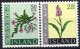 (image for) 1968 Wild Flowers