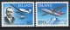 (image for) 1978 Domestic Flight