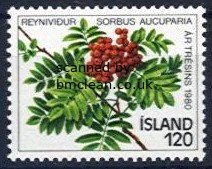 (image for) 1980 Year of the Tree