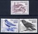 (image for) 1981 Birds