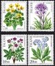 (image for) 1983 Flowers