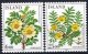 (image for) 1984 Flowers I