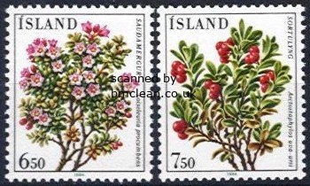 (image for) 1984 Flowers II