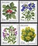 (image for) 1985 Flowers