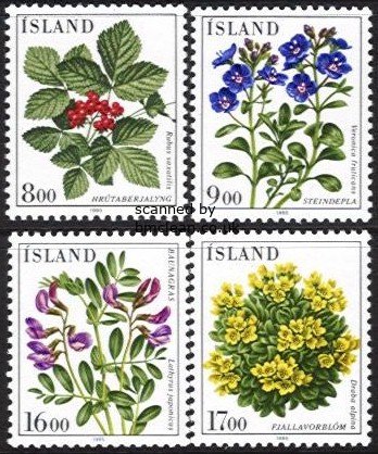 (image for) 1985 Flowers