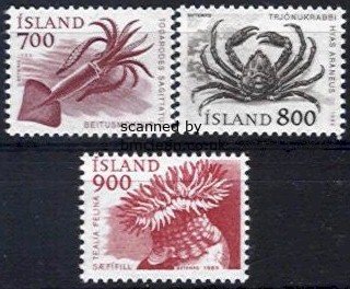 (image for) 1985 Marine Life