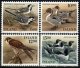 (image for) 1986 Birds