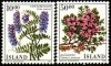 (image for) 1988 Flowers
