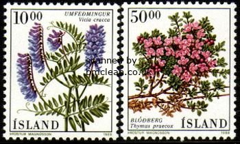 (image for) 1988 Flowers