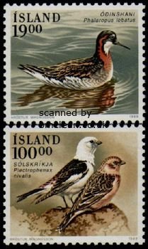 (image for) 1989 Birds