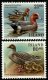 (image for) 1990 Birds