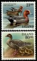 (image for) 1990 Birds