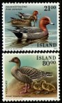 (image for) 1990 Birds