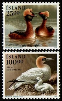 (image for) 1991 Birds