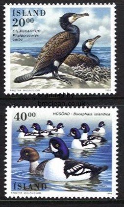 (image for) 1996 Birds