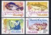 (image for) 1998 Fish
