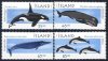 (image for) 1999 Marine Mammals