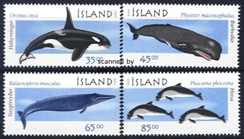 (image for) 1999 Marine Mammals