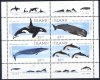 (image for) 1999 Marine Mammals M/S