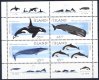 (image for) 1999 Marine Mammals M/S