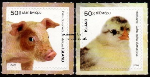 (image for) 2020 Young Animals