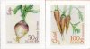 (image for) 2020 Garden Vegetables