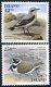 (image for) 2001 Birds