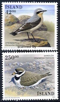 (image for) 2001 Birds