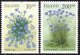 (image for) 2002 Summer Flowers
