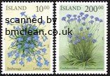 (image for) 2002 Summer Flowers