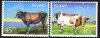 (image for) 2003 Cattle
