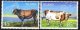 (image for) 2003 Cattle